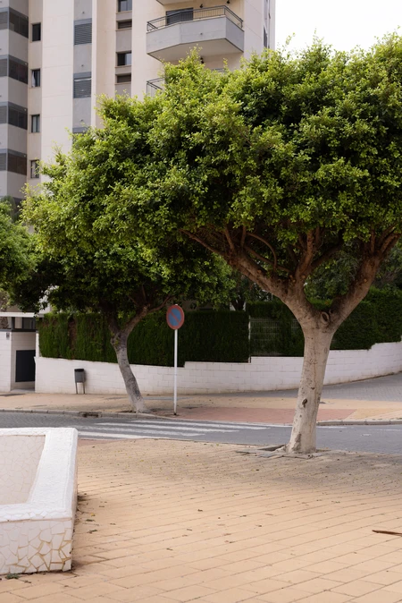 Urban Greenery