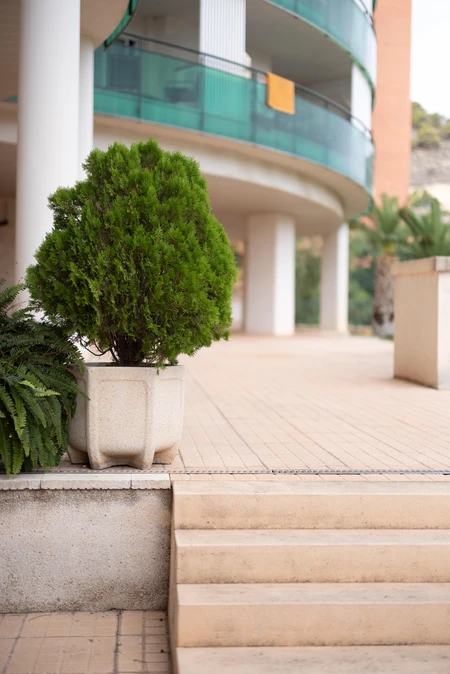 Contemporary Architecture with Greenery