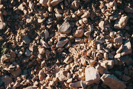 Pebble Texture Close-Up