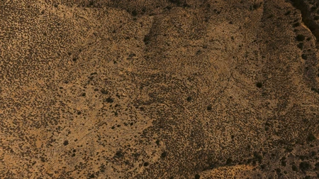 Desert Terrain