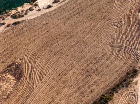 Aerial View of Farmland