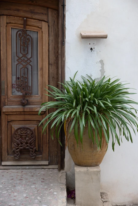 Rustic Doorway