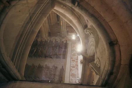 Cathedral Reflection