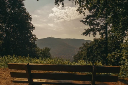 Scenic Mountain View