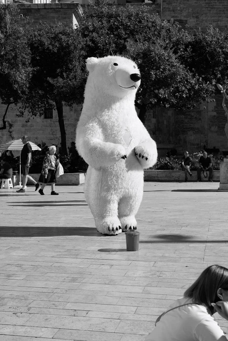 Street Performer in Bear Costume