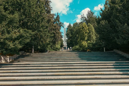 Serene Park Steps