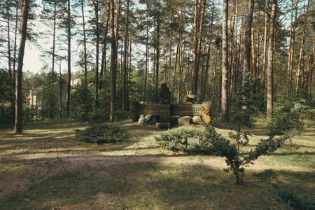 Serene Forest Monument