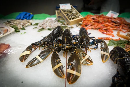 Fresh Seafood Display