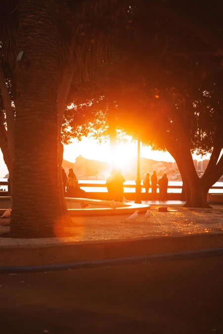 Sunset by the Sea
