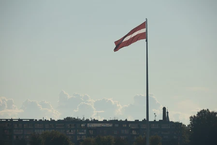 Flag Waving in the City