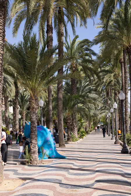 Palm Tree Promenade
