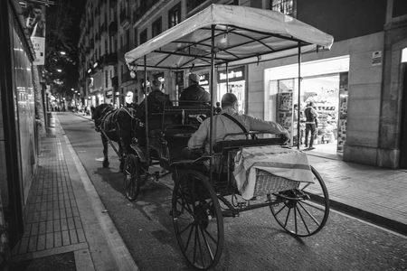 Horse-Drawn Carriage on City Street