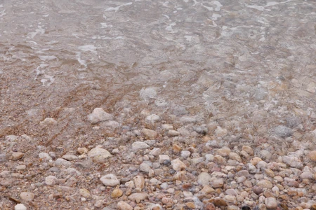 Pebbled Shoreline