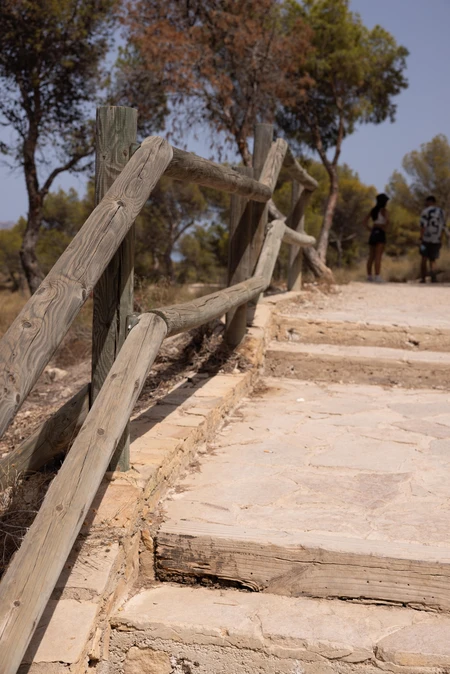 Rustic Pathway in Nature