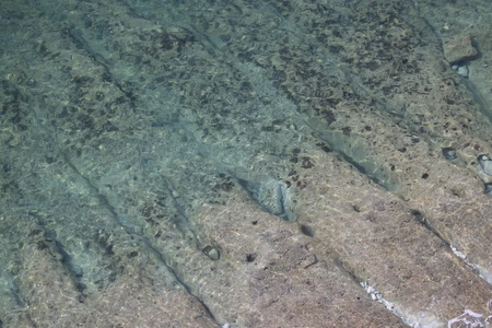 Clear Shallow Waters