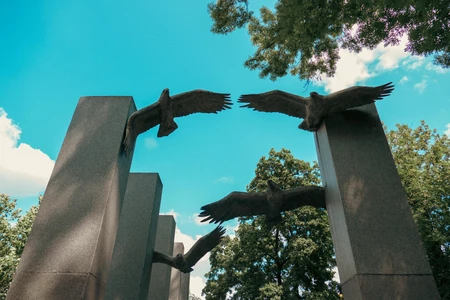 Sculptural Flight