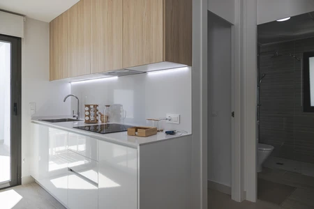 Modern Minimalist Kitchen