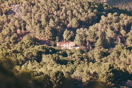 Secluded House in the Forest