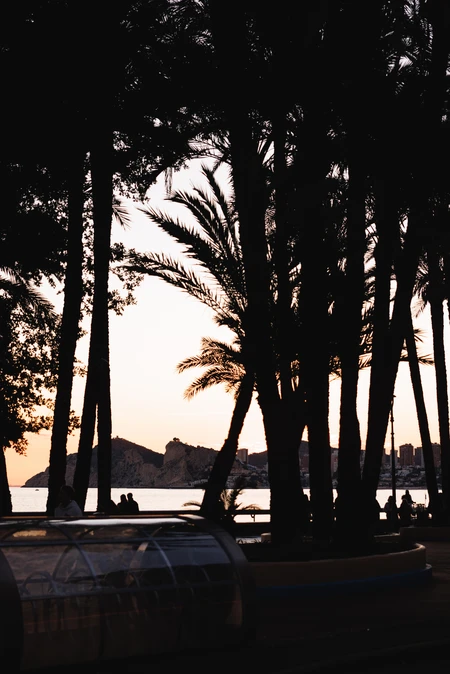 Serene Sunset by the Beach