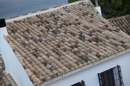 Tiled Roof by the Sea