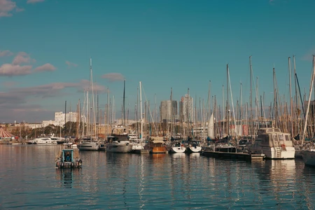 Marina with Sailboats