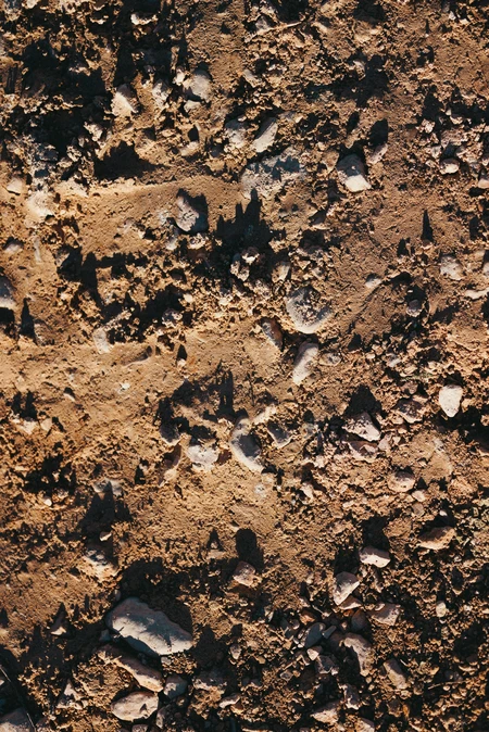 Earthy Texture