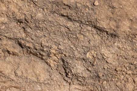 Textured Earth Surface