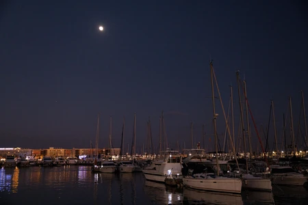 Moonlit Marina