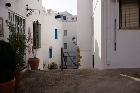 Serene Alleyway in Sunlit Village