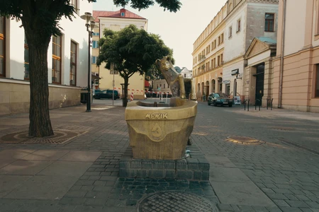 Charming Street Fountain