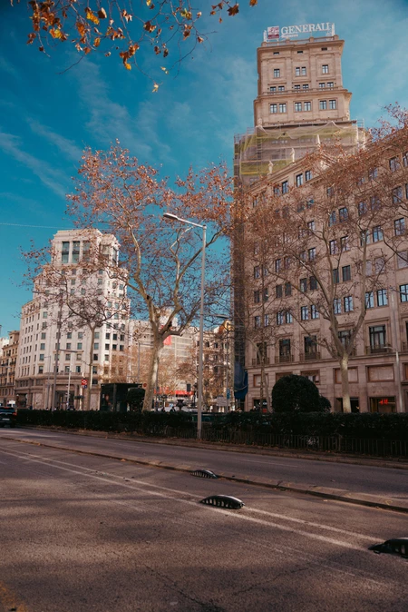 Urban Streetscape