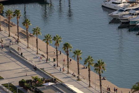 Marina Promenade View