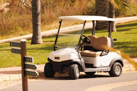 Golf Cart in a Park Setting
