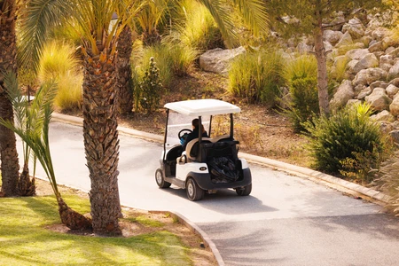 Golf Cart in Scenic Landscape