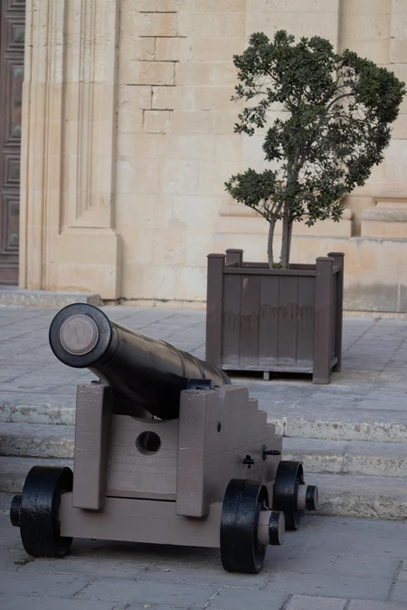 Historic Cannon Display