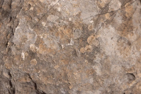 Close-up View of Rock Surface