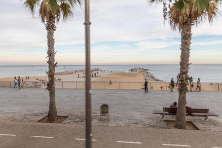 Beachside Promenade Scene