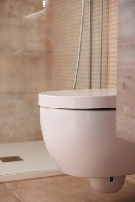 Modern Bathroom Design