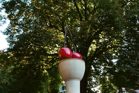 Cherry Sculpture in Natural Setting