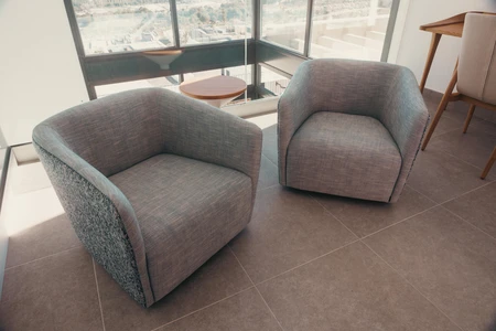 Modern Lounge Chairs in Sunlit Room