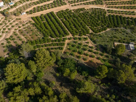 Aerial View of Agricultural Fields
