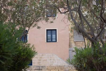 Tranquil Ivy-Covered Building