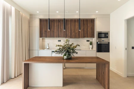 Modern Minimalist Kitchen