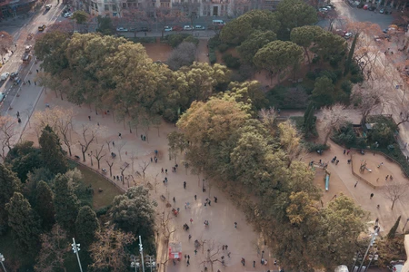 Urban Park Aerial View
