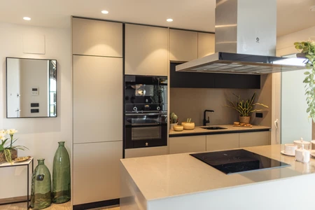 Modern Kitchen Interior