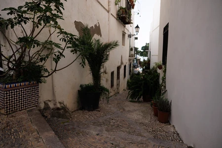 Charming Narrow Alleyway