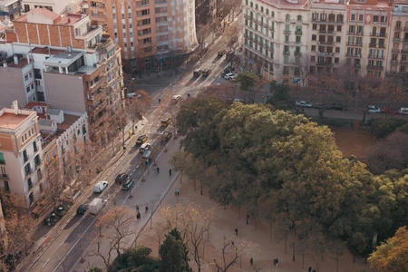 Urban Park View