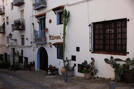 Charming Street View with Cacti