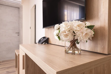 Modern Living Room Decor