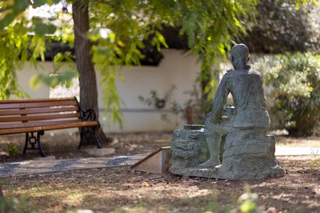 Serene Garden Scene